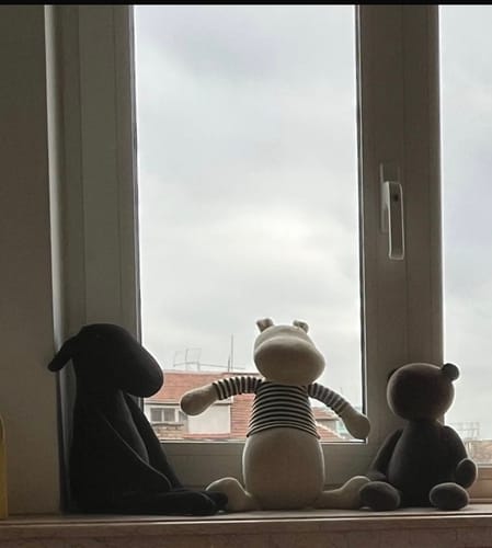 Customer photo review of LE PULL - L/XL