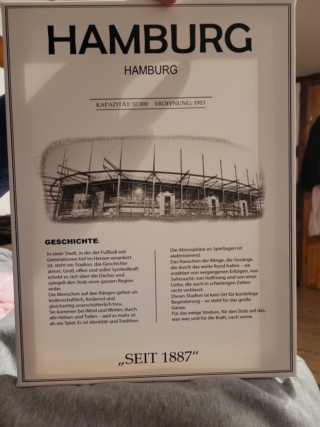 Customer photo review of Hamburg Stadion Leinwand