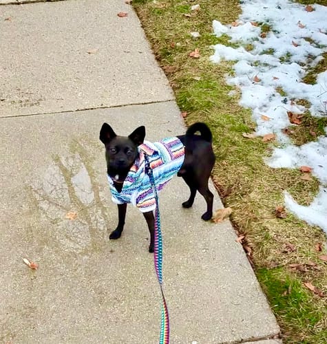 Customer photo review of Playa Poncho – Mystery Color (Bella, Charlie, or Fun Edition)