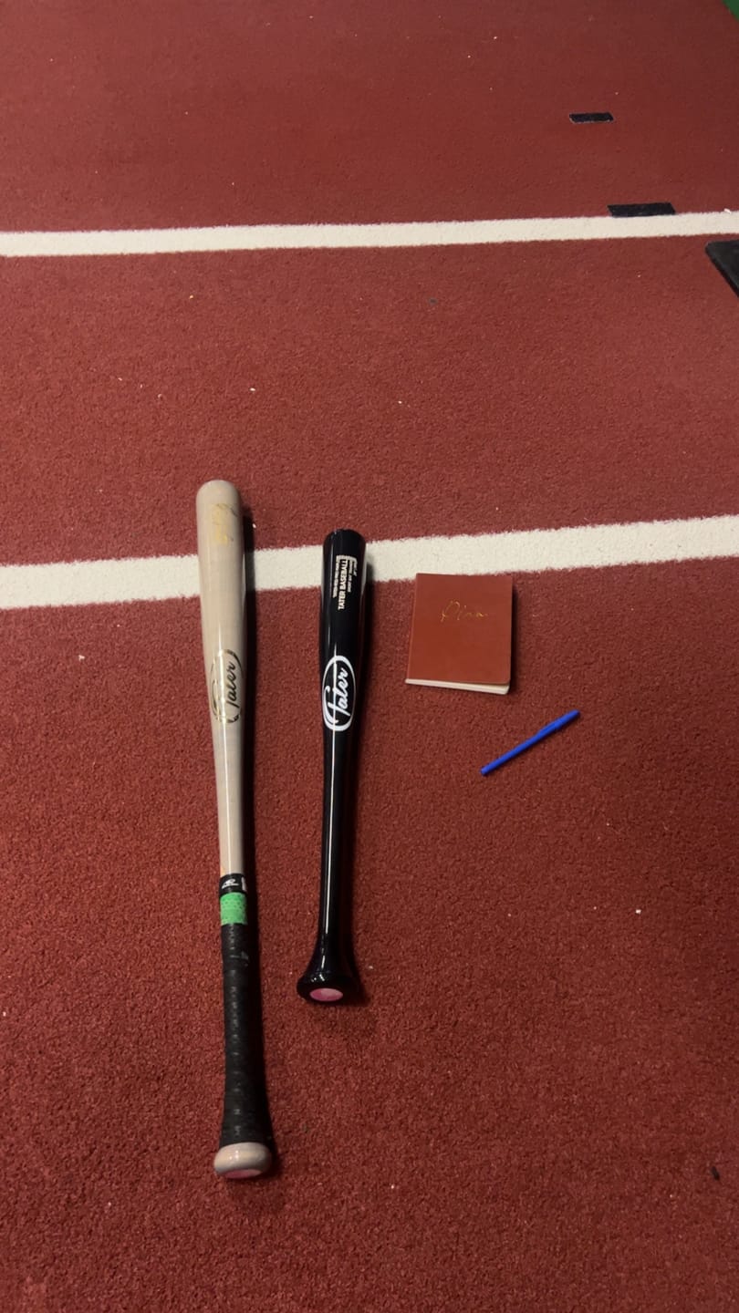 Customer photo review of TATER-RSD (One-Hand Short Bat Trainer)