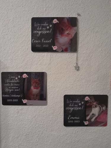 Customer photo review of Katzen Gedenktafel mit Foto & Spruch (UV- & Wetterfest)
