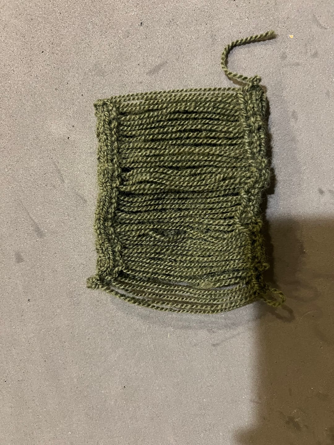 Customer photo review of Roots LITE: Forest