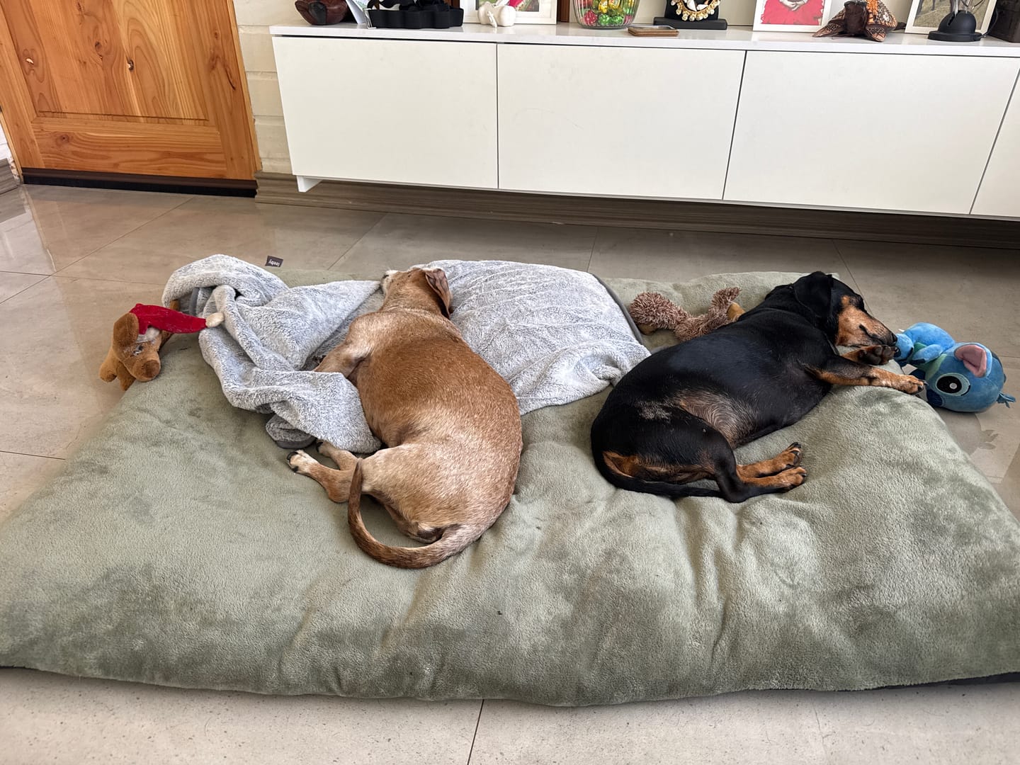 Customer photo review of Manta suave: Extra comodidad