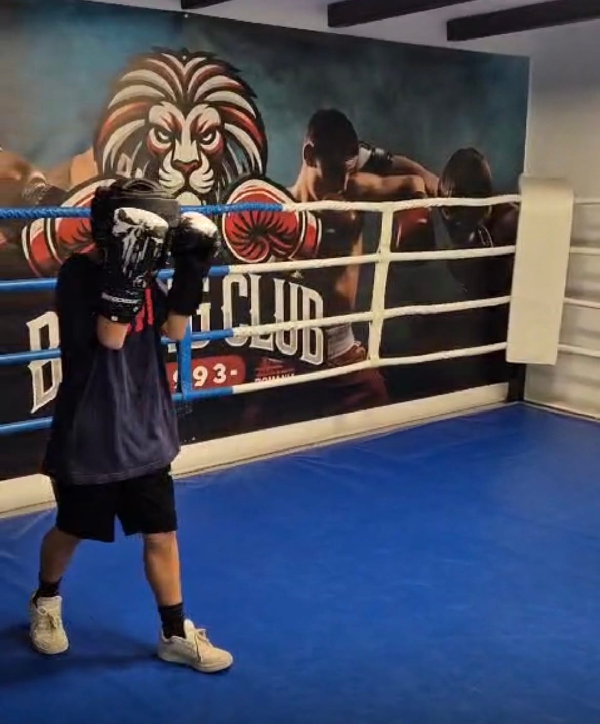 Customer photo review of Manusi Box Knockout Punisher 2.0