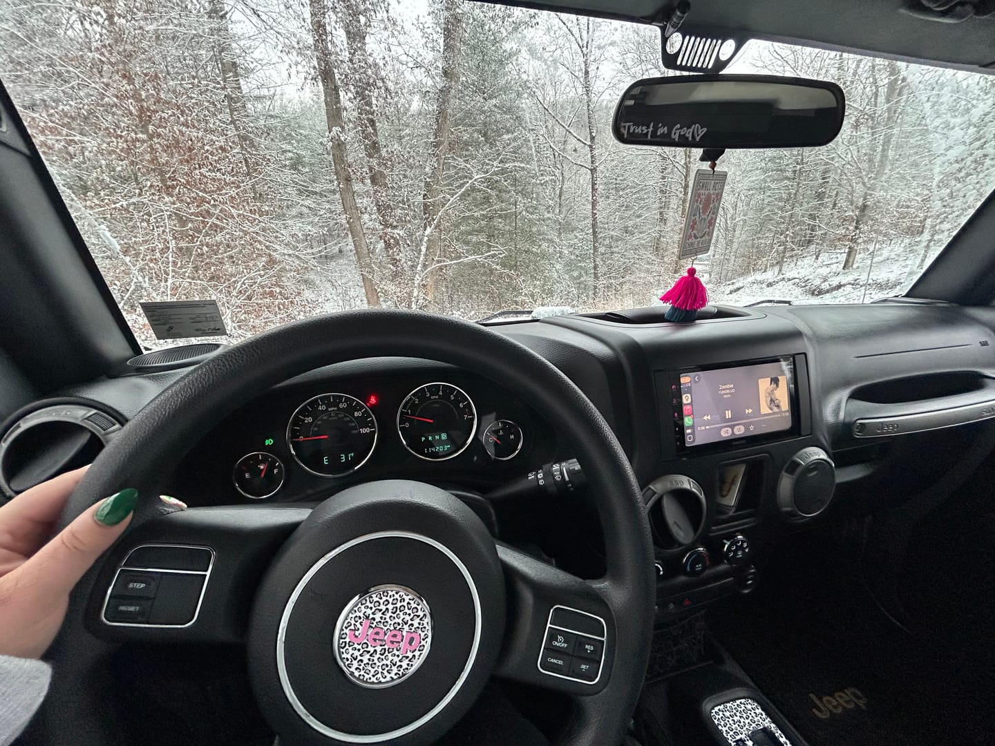 Customer photo review of Animal Print Steering Wheel Decal for Jeep