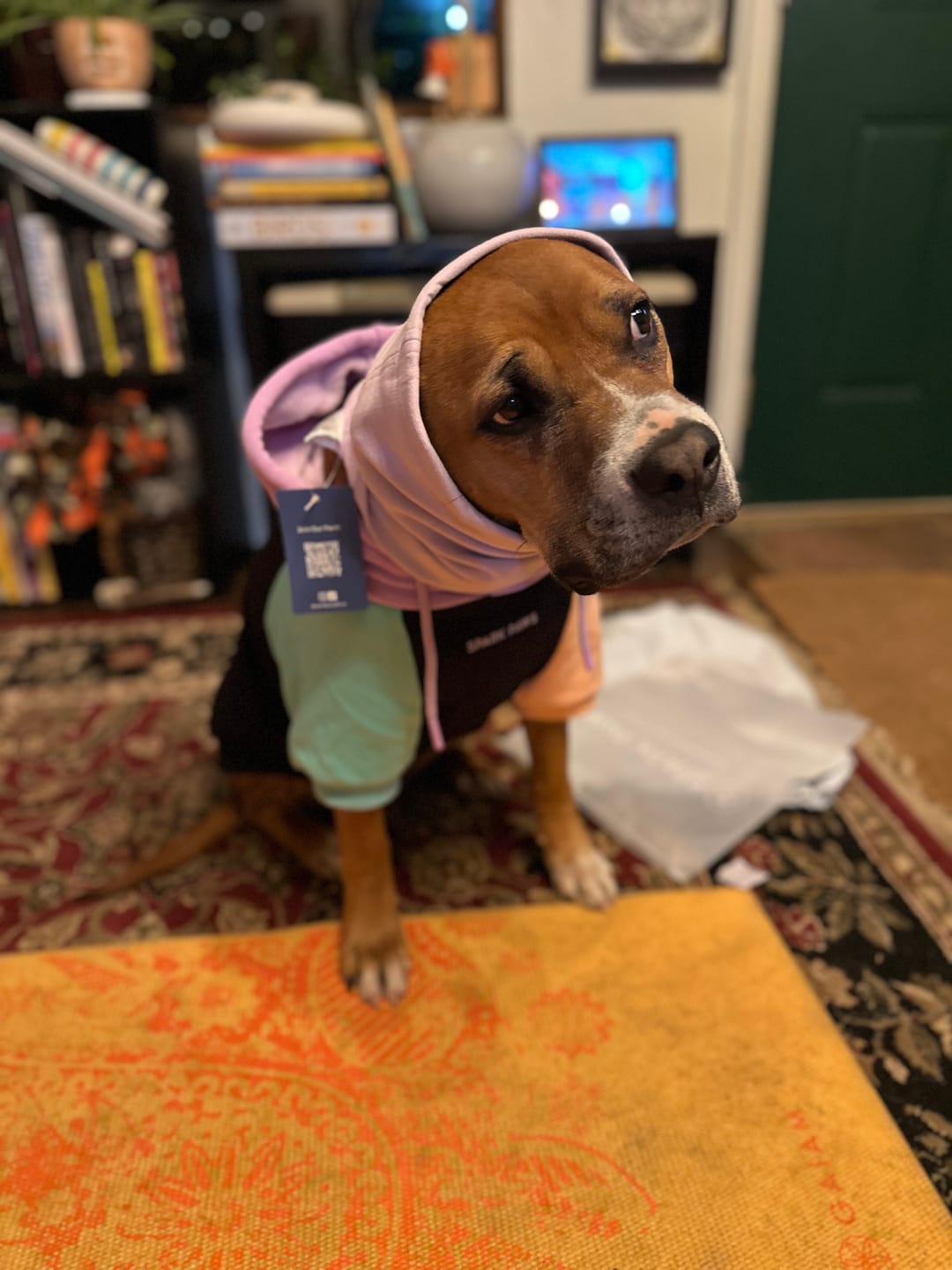 Customer photo review of Anxiety Calming Dog Earmuff Protector - Purple