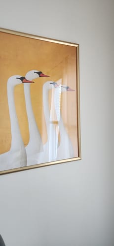 Customer photo review of Swans Print