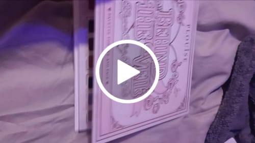 Customer video review of P.Louise Behind the Veil Palette