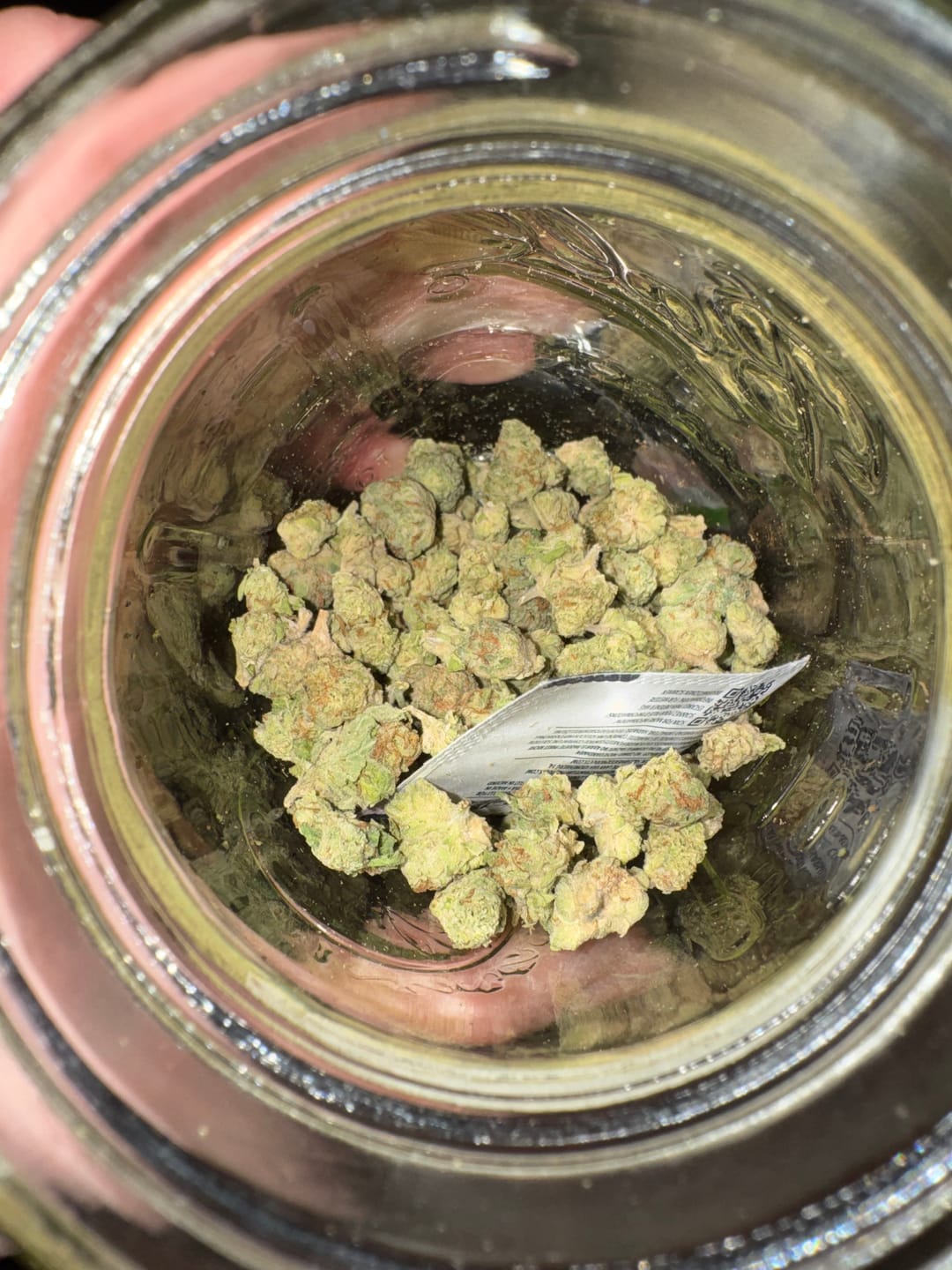 Customer photo review of Panama Red - Exotic Smalls