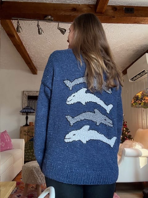 Customer photo review of Azure Dolphin Knit Sweater