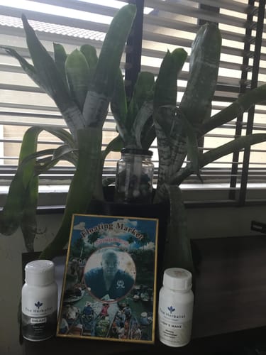 Customer photo review of 🎁 Shilajit 60 Capsules (100% off)