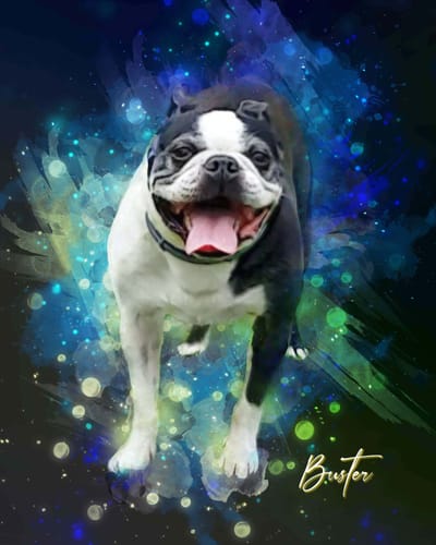 Customer's custom neon watercolor pet portrait of a smiling Boston Terrier against a vibrant blue and green background.