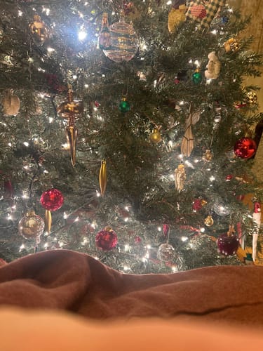 Customer photo review of Brand New English Paprika and Mushroom Marl Luxury Woven Cashmere Blanket