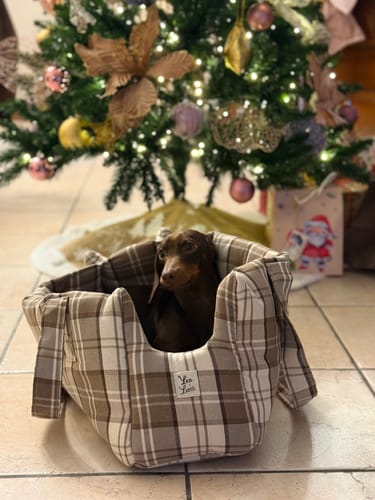 Customer photo review of Borsa Cotone Panama Scozzese Trama Nocciola