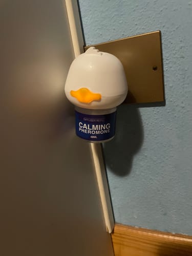 Customer photo review of Diffusore Calmante per Gatti