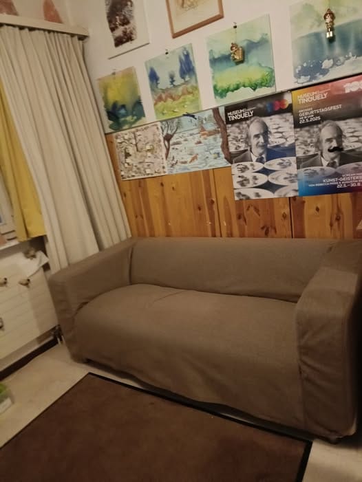 Customer photo review of KLIPPAN 2 Seat IKEA Sofa Cover