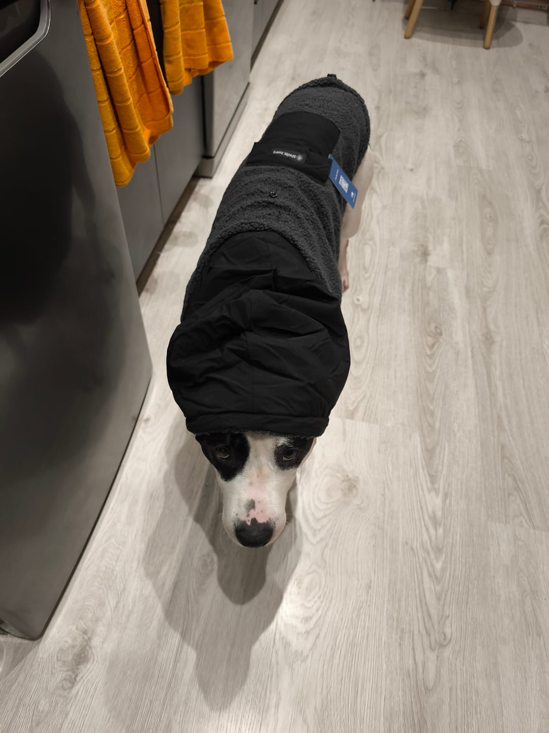 Customer photo review of Reversible Sherpa Jacket - Grey and Black