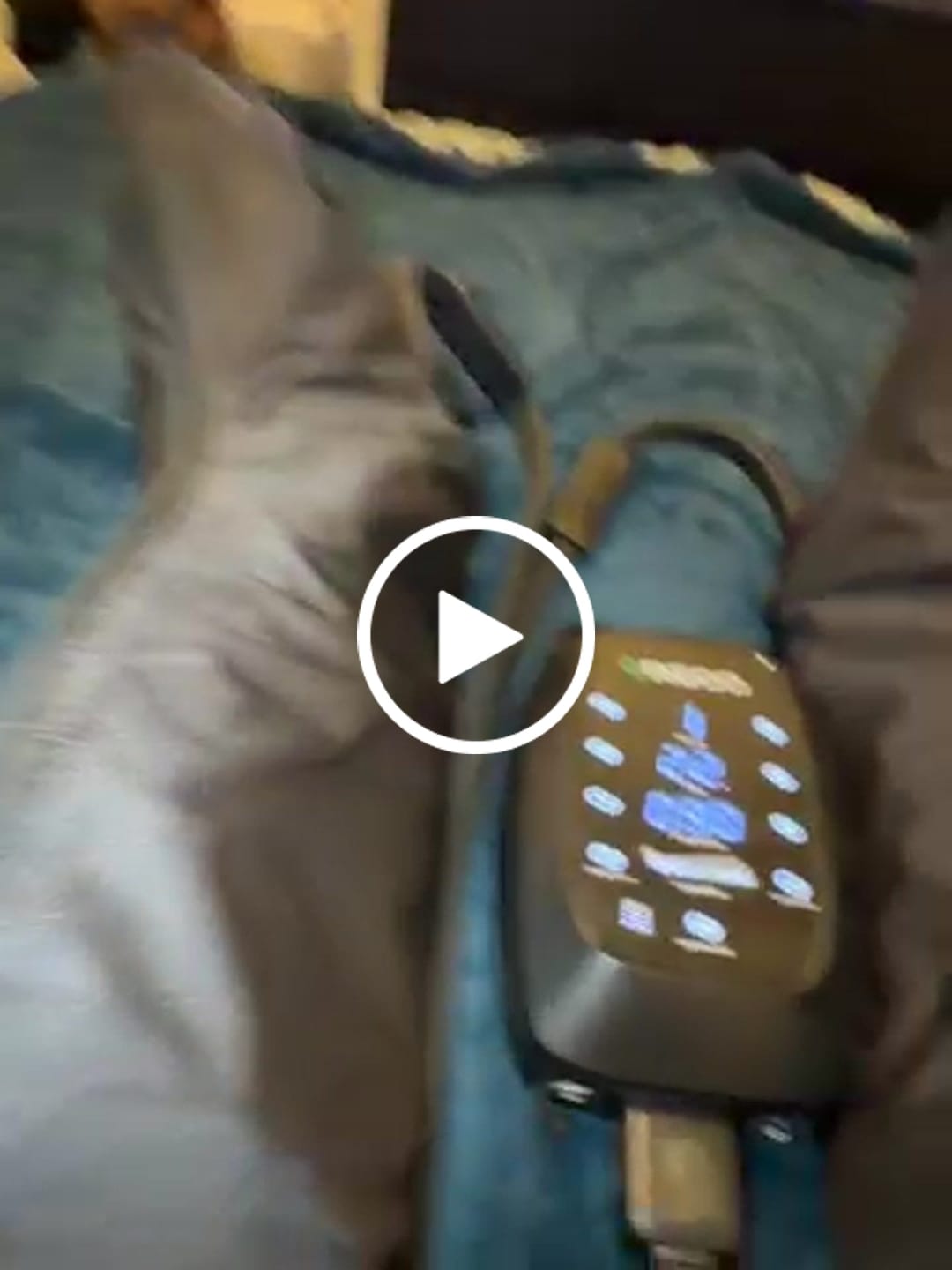 Customer video review of Leg Compression Sleeves