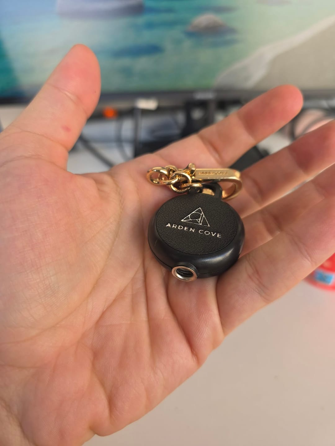 Customer photo review of Steel Cable Phone Tether