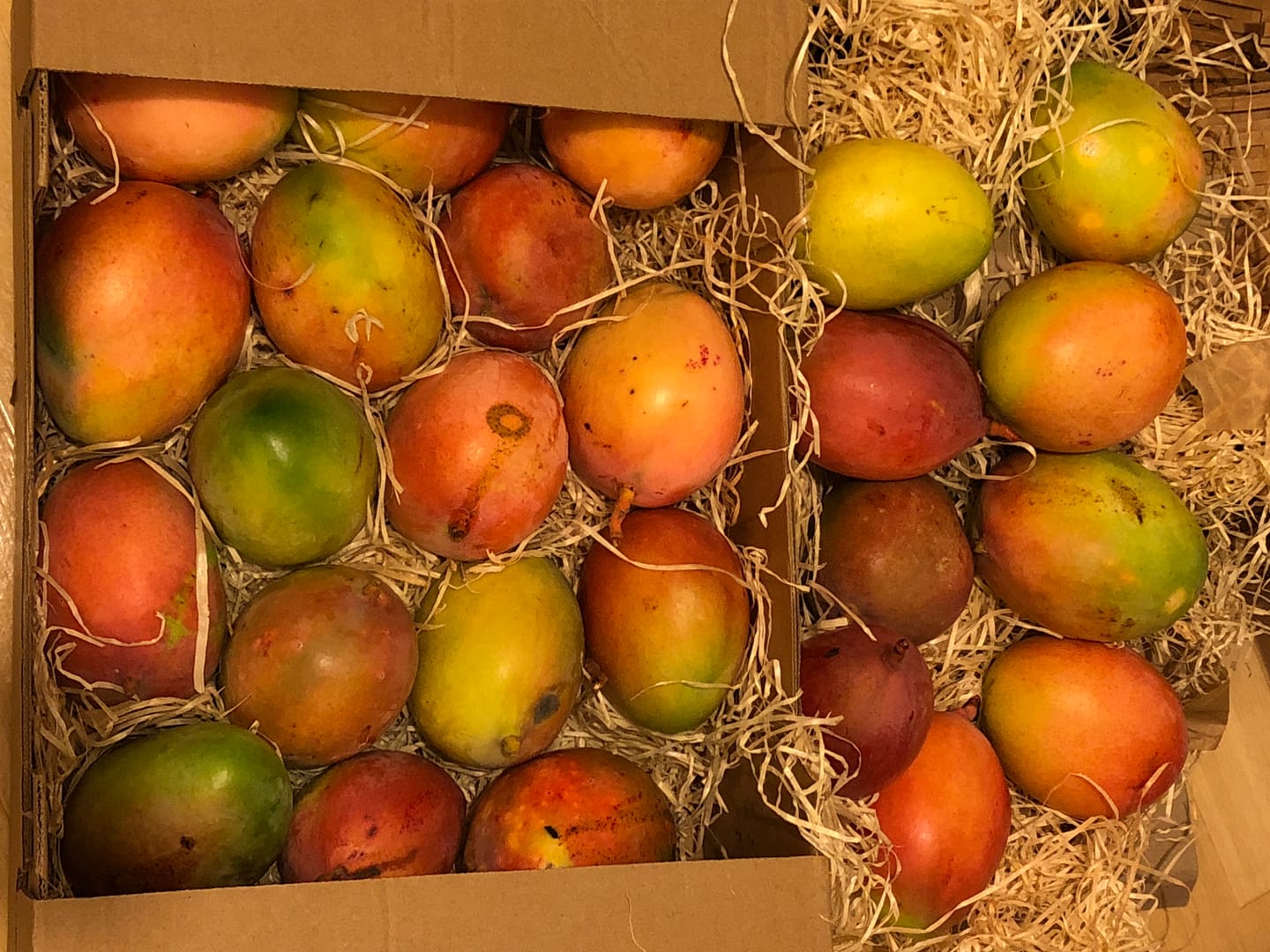 Customer photo review of Mini Mango & Avocado Rettungsaktion