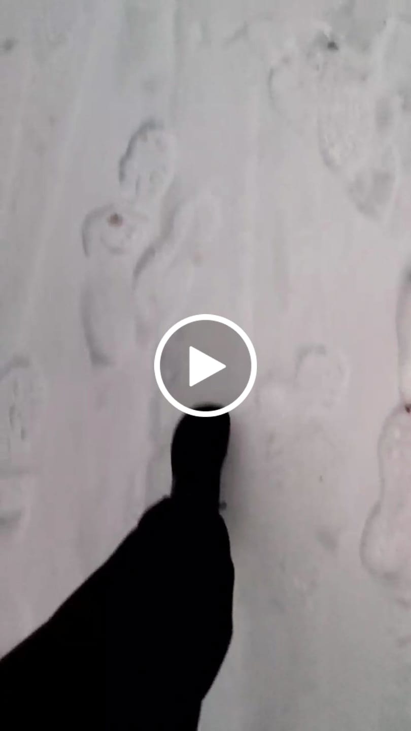 Customer video review of Ash - Winter Barfußschuhe