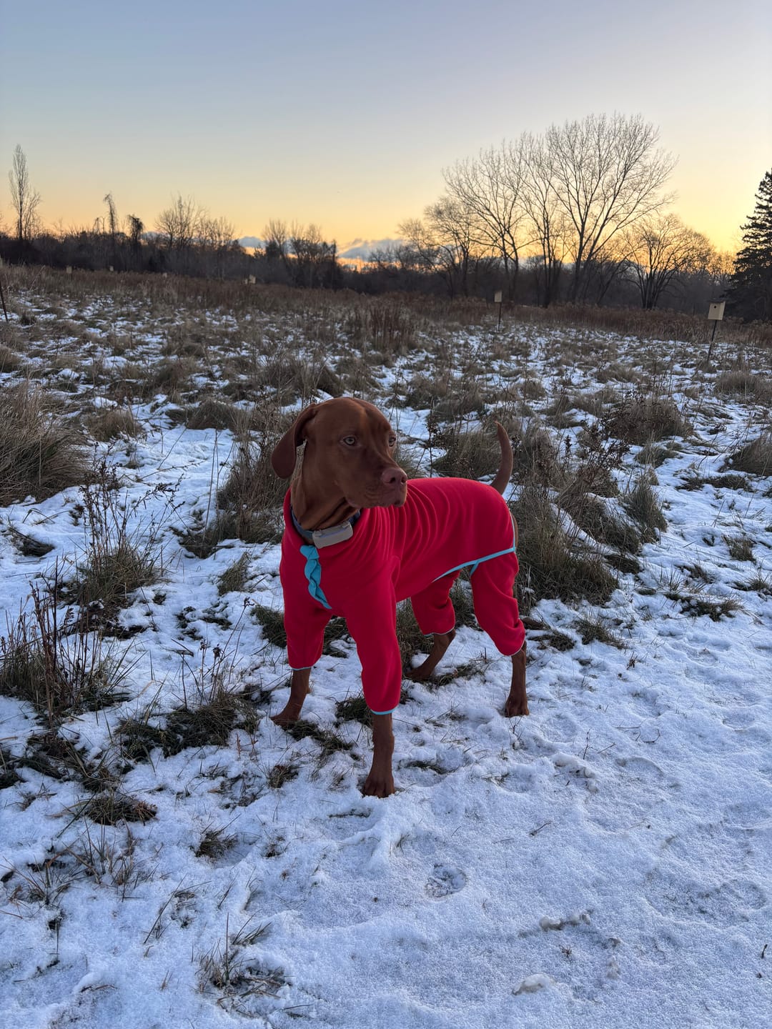 Customer photo review of NEW Fleece Pull-Over