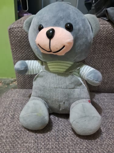 Cliente muestra el suave osito de peluche gris con overol, sentado en un sillón.