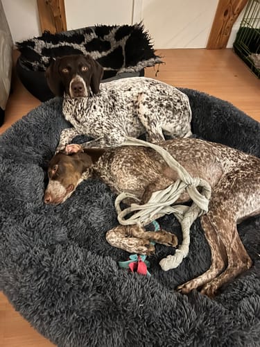 Customer photo review of CalmBed överdrag