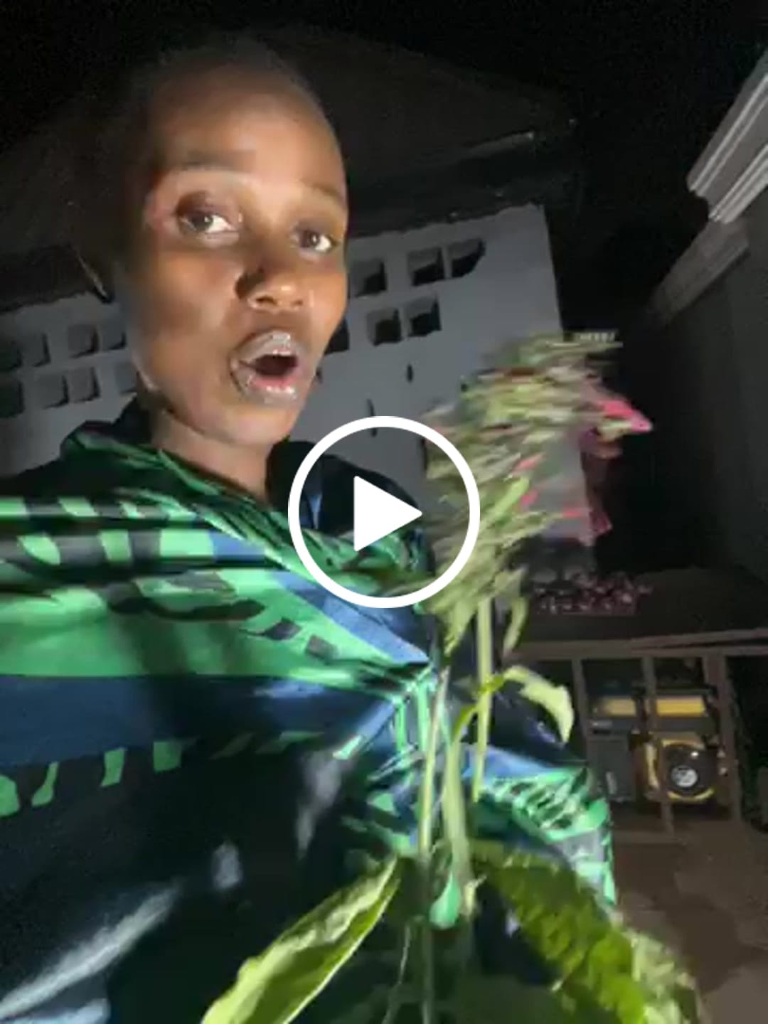 Customer video review of St. Johns Bush