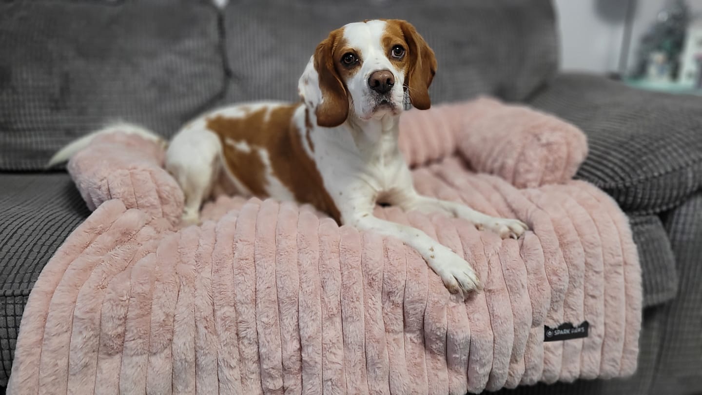 Customer photo review of Luxury Couch Cover Dog Bed - Pink