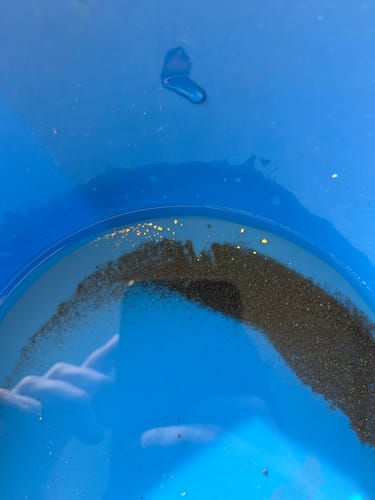 Customer photo review of 888 Gold Rat sluice - with Mini cell Dream mat