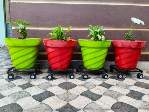 Customer photo review of United Crafts Rozy Wheel Pot Stands for Planters