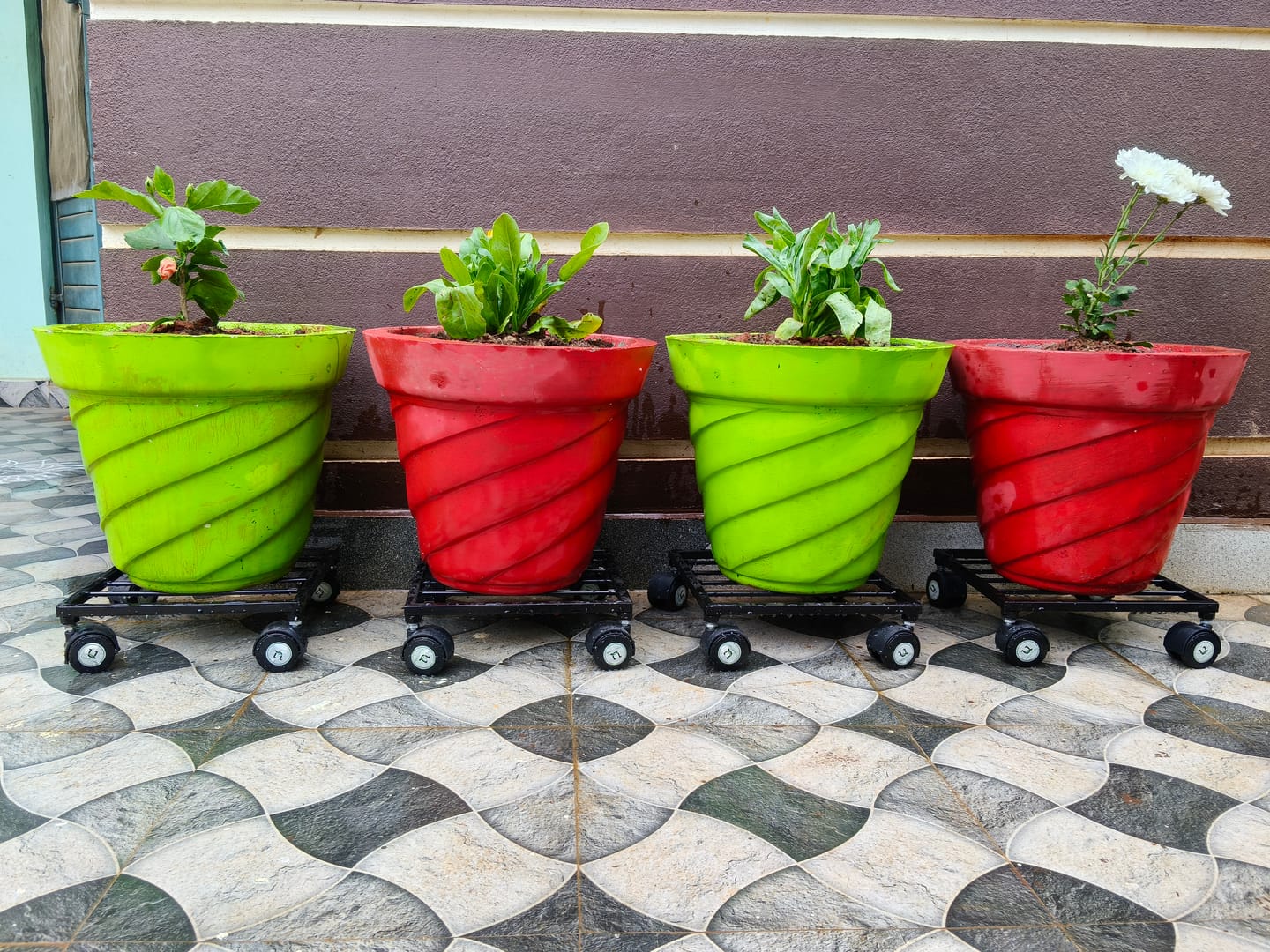 Customer photo review of United Crafts Rozy Wheel Pot Stands for Planters