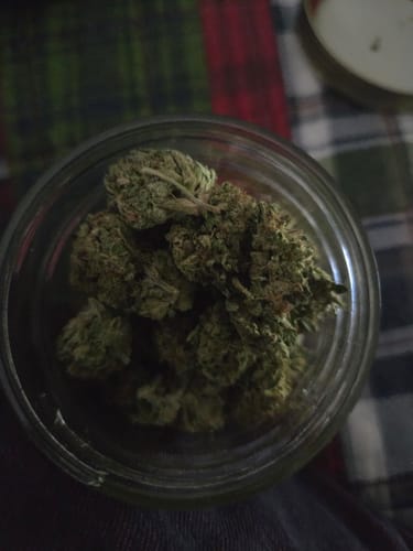 Customer photo review of Tangie THCA Flower