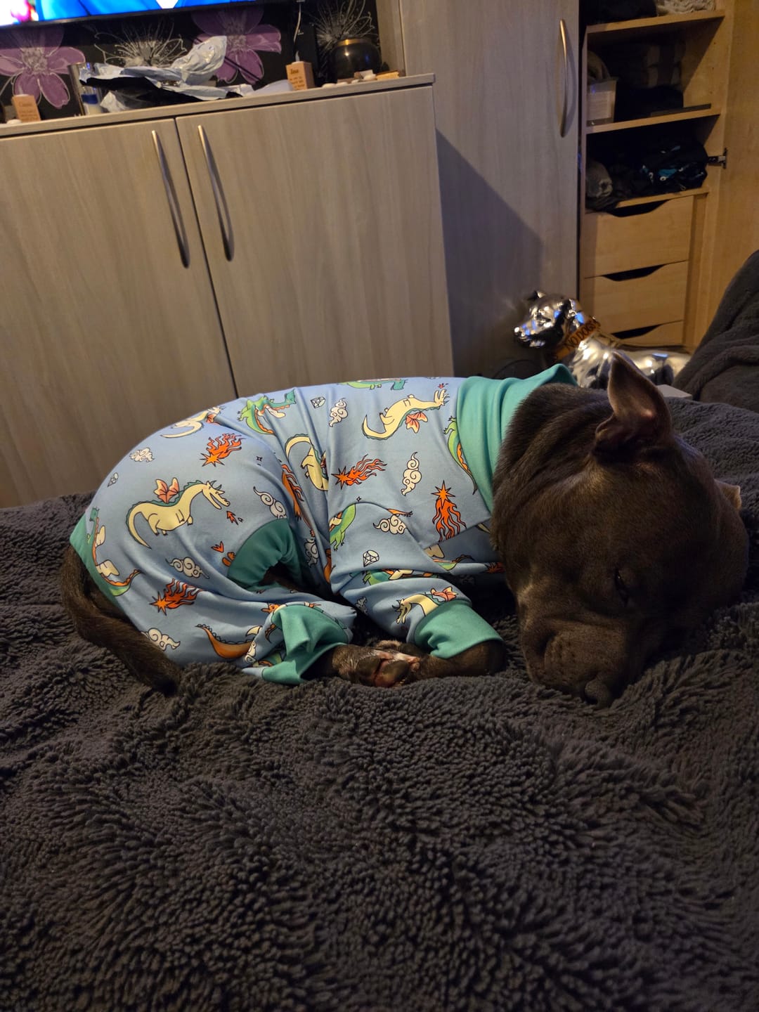 Customer photo review of Dog Pajama - Dragons