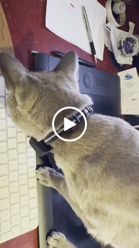 Customer video review of SPOTMINDERS. Tracking Card