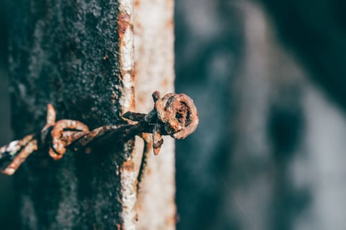 Customer photo review of NORTHBORDERS MEGA PACK