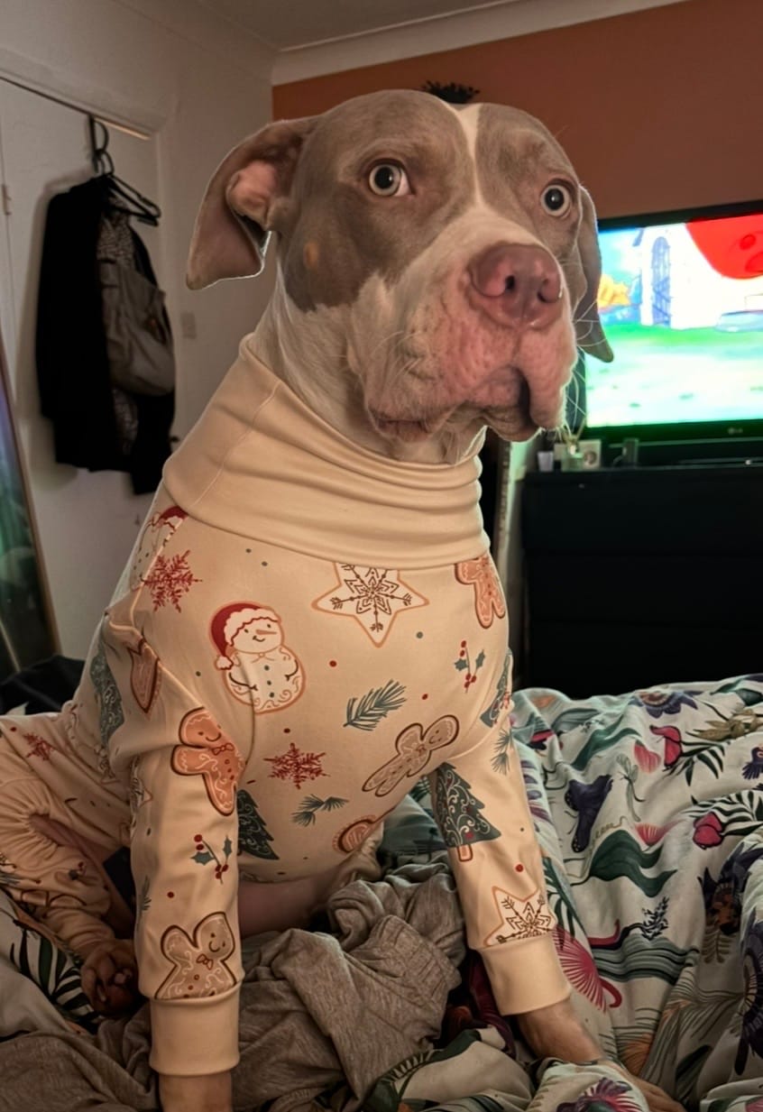 Customer photo review of Dog Christmas Pajama - Frosty Night