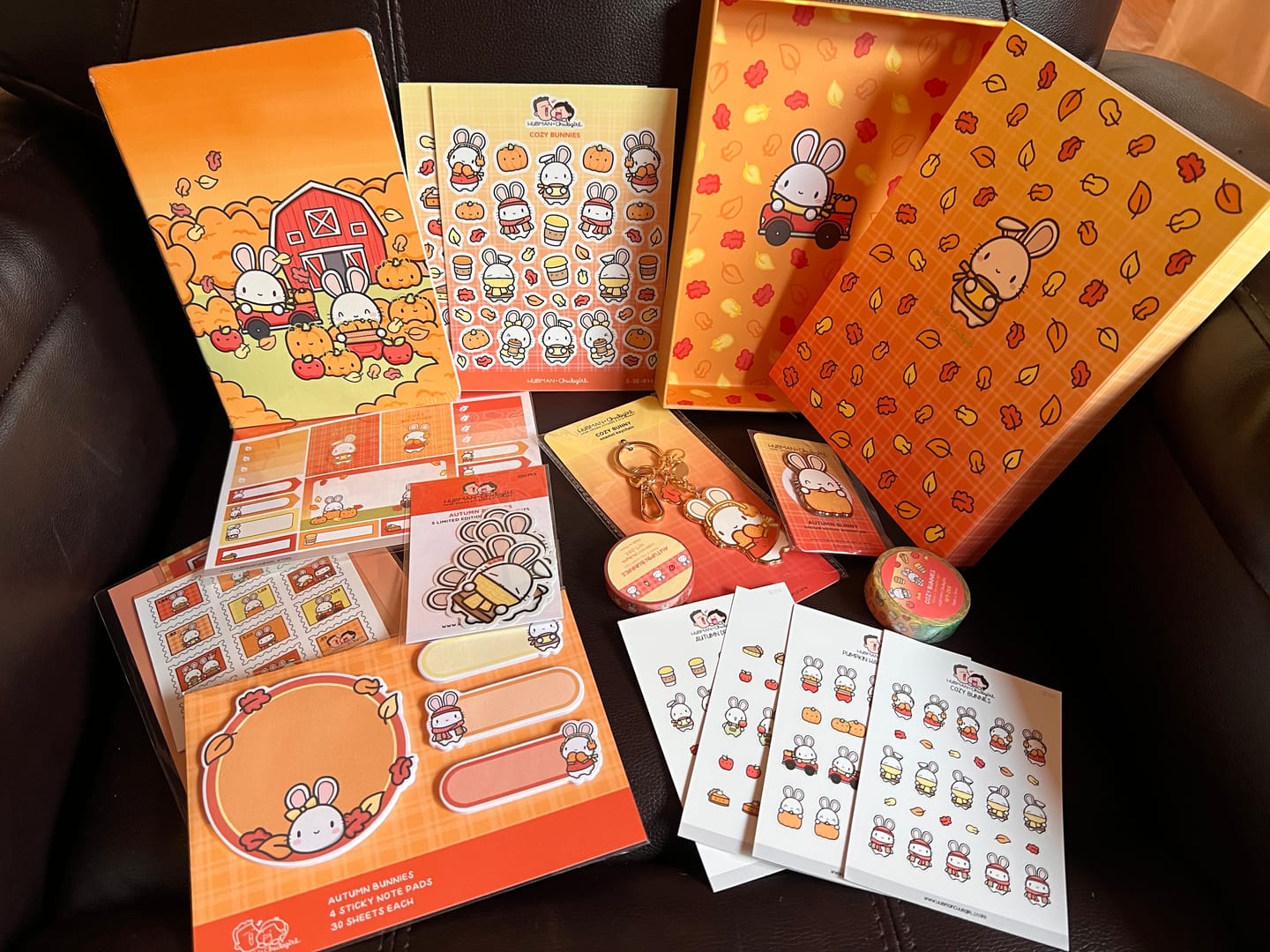 Customer photo review of Autumn Bunnies Box Set