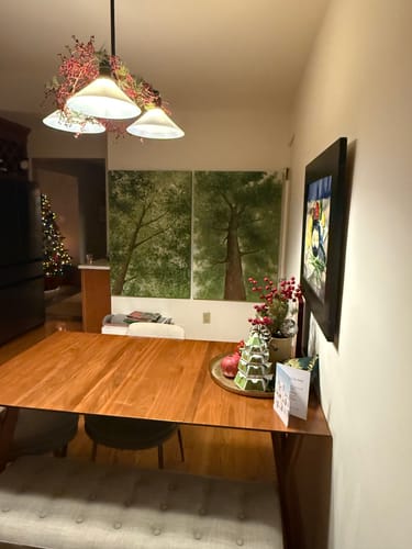 Customer review photo for Landscape Canvas Art #LCA010