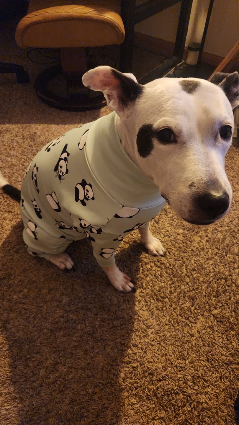 Customer photo review of Dog Pajama - Panda