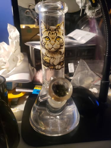 Reviewer's Majestic Cat Glass Bong with a packed bowl, sitting on a desk showing the detailed cat illustration.