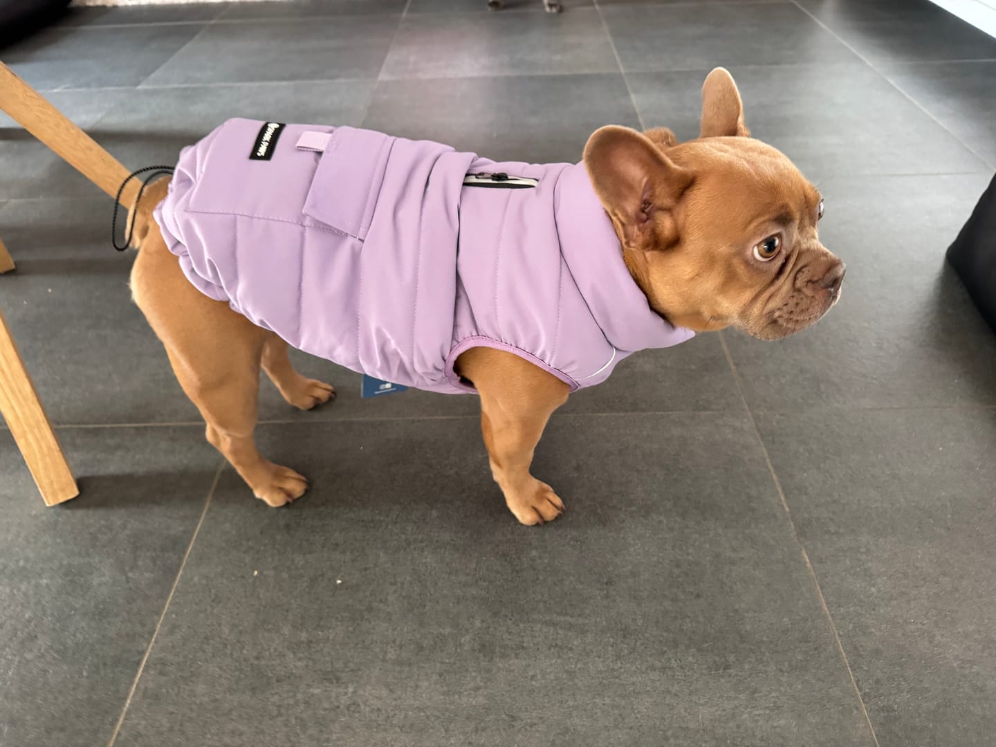 Customer photo review of WarmShield Water-Resistant Jacket - Lilac