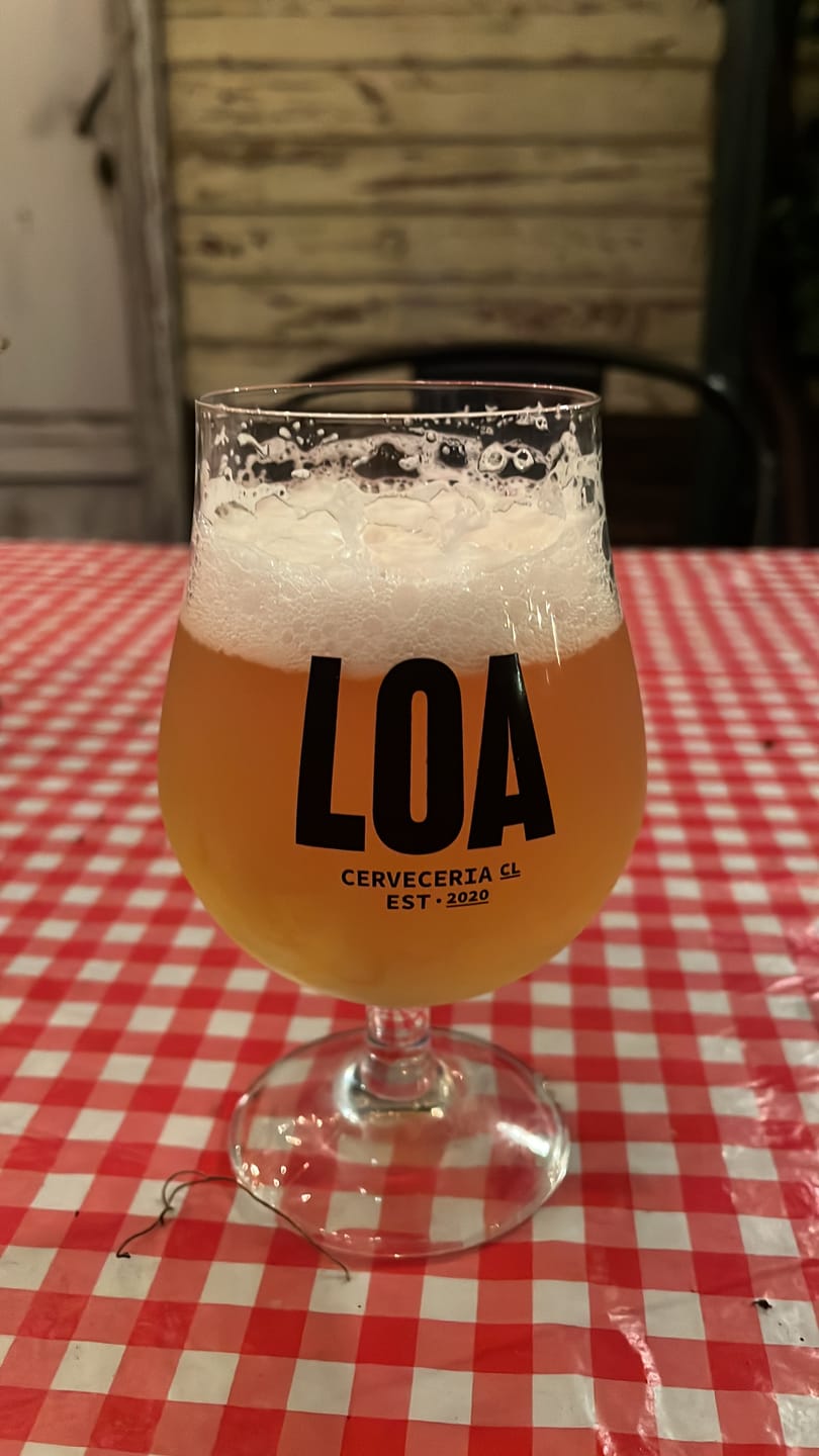 Customer photo review of COPA LOA BRISTOL