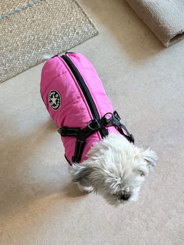Kundenbewertung mit Foto zu Emmalove - Wasserdichter Hundemantel Extreme