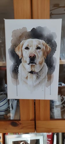 Customer photo review of Aquarell Haustier-Portrait – personalisierte Leinwand nach deinem Foto