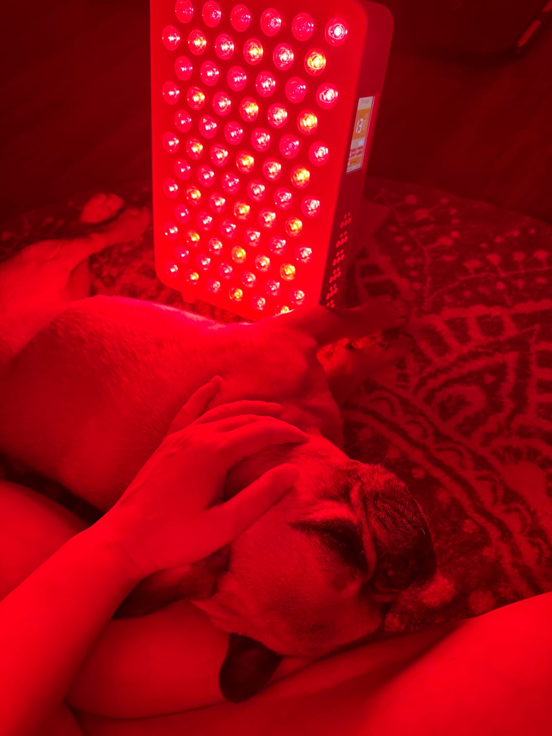 Customer photo review of Rouge Tabletop G4