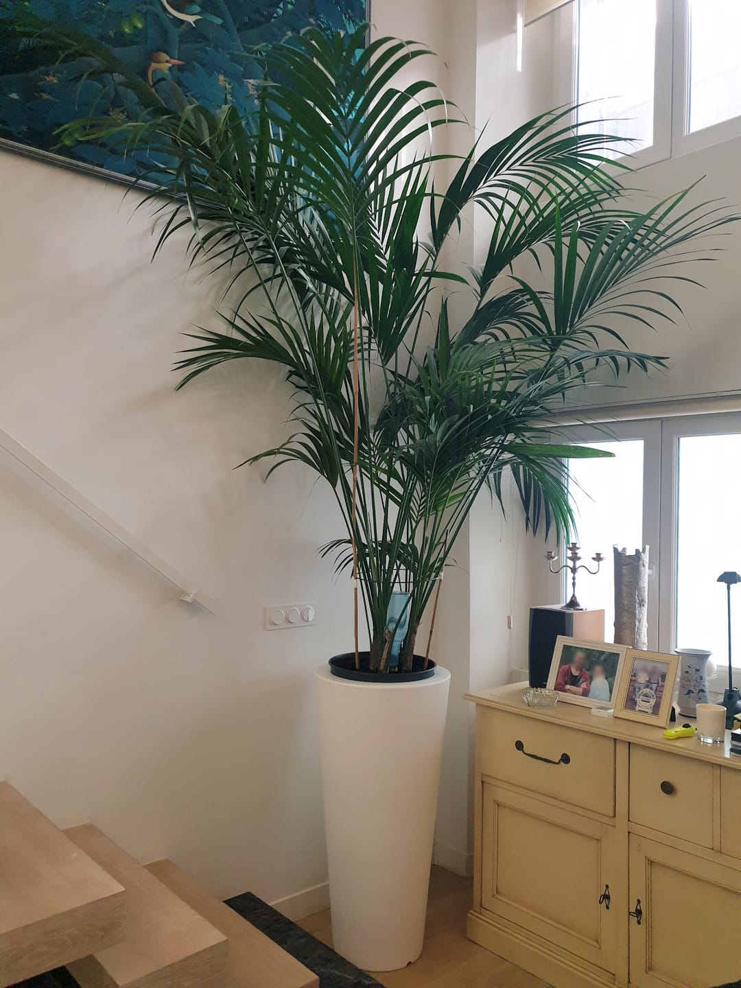 Customer photo review of Pot - Cono Alto