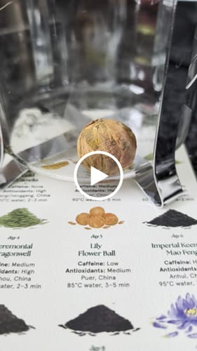 Customer video review of 2025 Royal Tea Advent Calendar