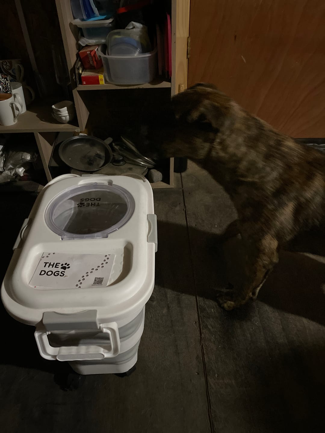 Customer photo review of Contenedor Hermético THE DOGS — Alimento fresco y sin olores